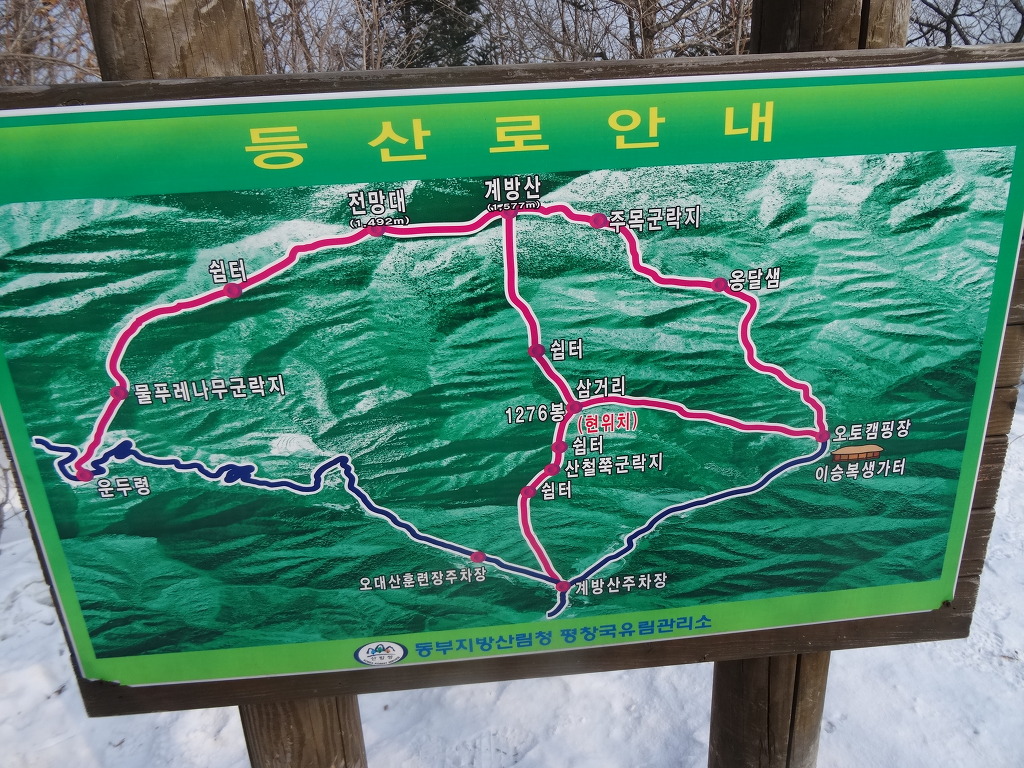 산철죽 군락지 이미지