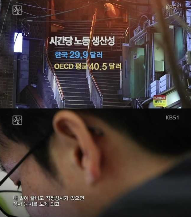 저녁 도시락이 잘 팔리는 이유 | 인스티즈