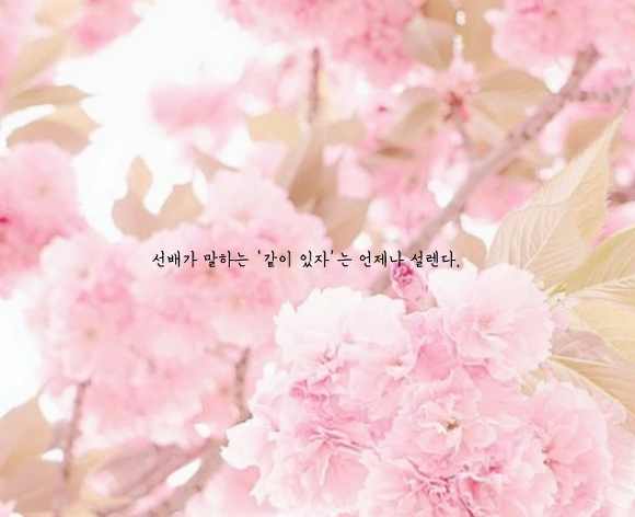  항상 웃고 친절해서 사랑받는 사람이라고 해서 반드시 옳다고는 할 수 없어 | 인스티즈