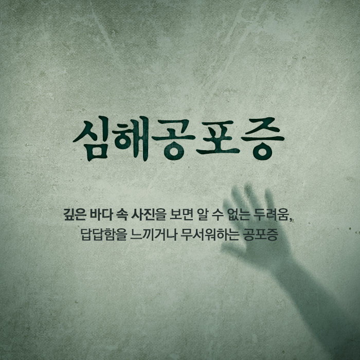 이거 무서워 하는 사람 꼭 있다 | 인스티즈
