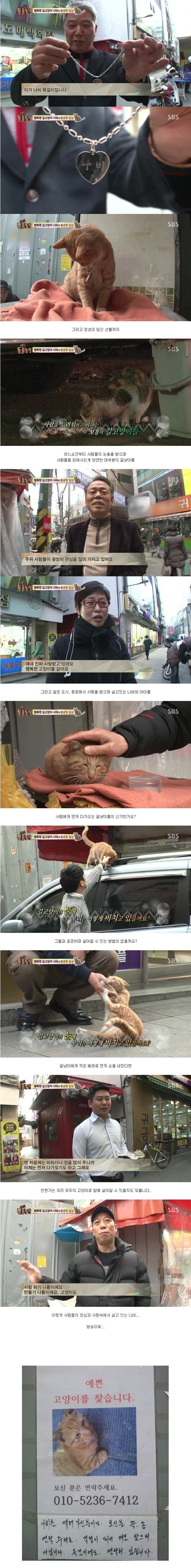 길냥이 레전드 | 인스티즈