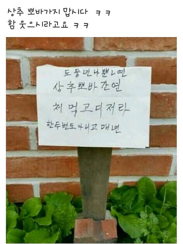 뽀바뽀바 이미지
