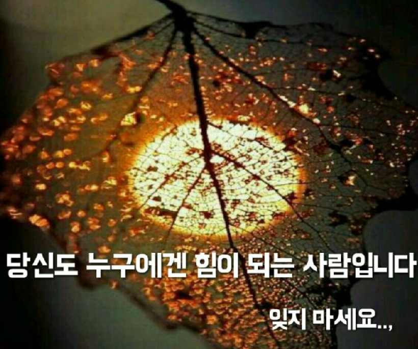 감동스토리 이미지