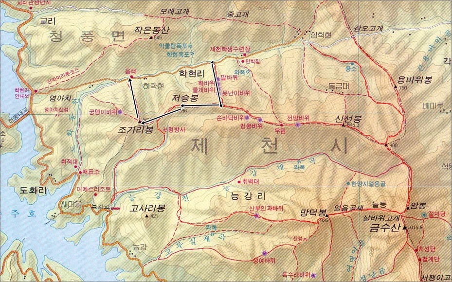 중원농협주유소 이미지