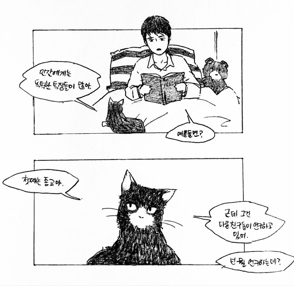 고양이와 동거하는 만화 | 인스티즈