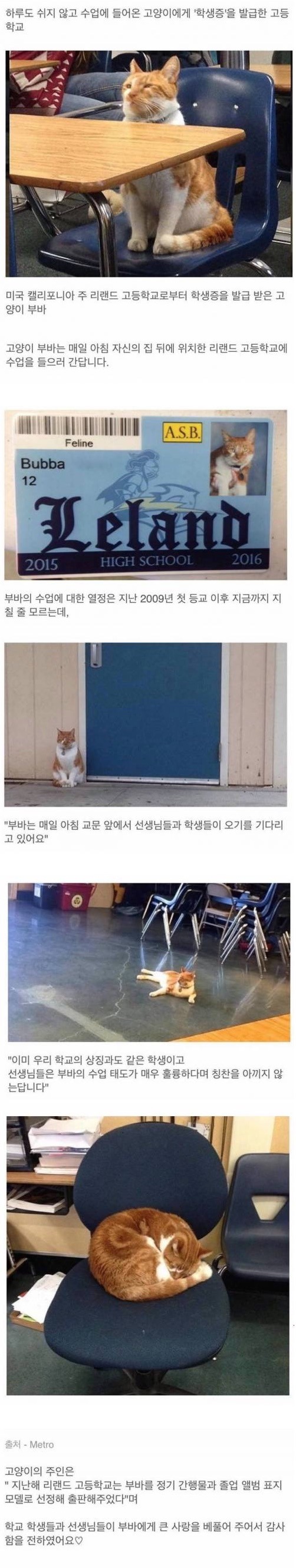 안흔한 학생증 | 인스티즈