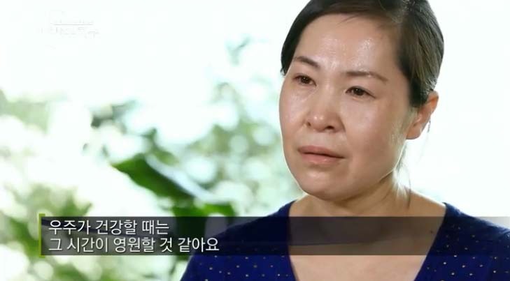  당신은 반려동물과 이별할 준비가 되었나요? | 인스티즈