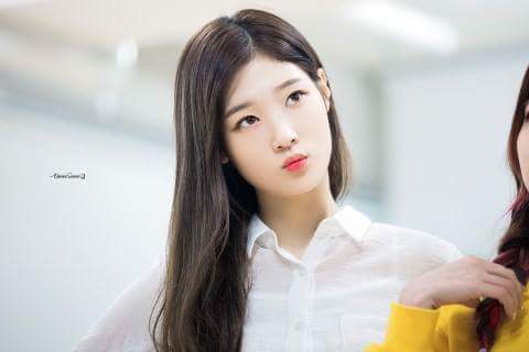 매일 이쁜 정채연 | 인스티즈