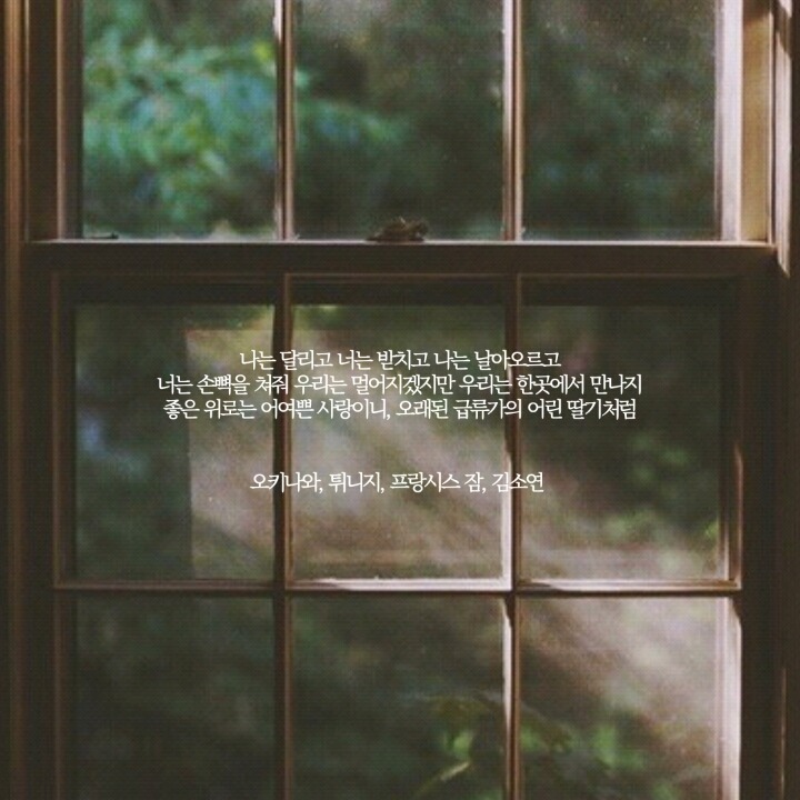  네 안에서 부는 바람에 너는 너무 오래 흔들린다 | 인스티즈