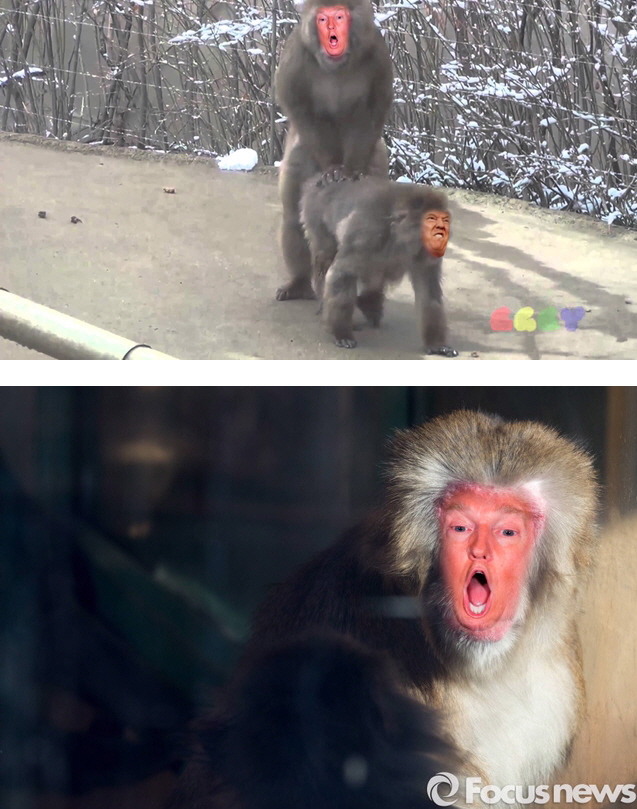 이 세상에 백인이 어딨음? | 인스티즈