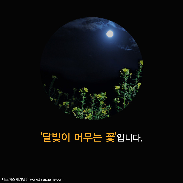 라그나로크에서 그들이 한 가지 무기만 사용하는 이유 | 인스티즈