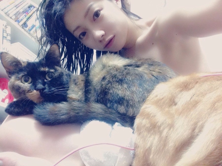 고양이가 부럽 .... | 인스티즈