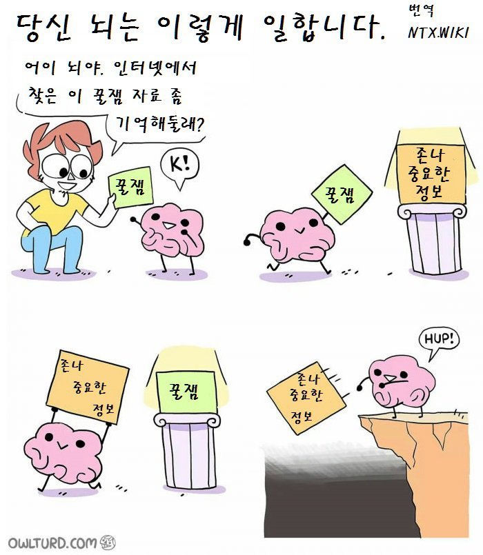 뇌가 일하는 방법 | 인스티즈