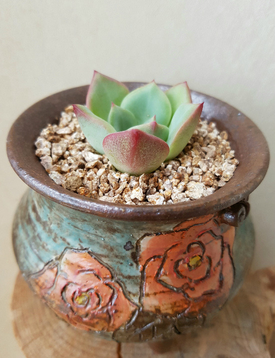센세이션 이미지