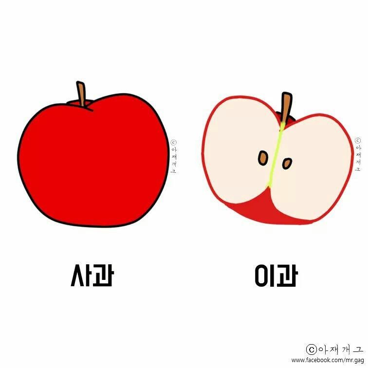 오이를 반으로 나누면? | 인스티즈