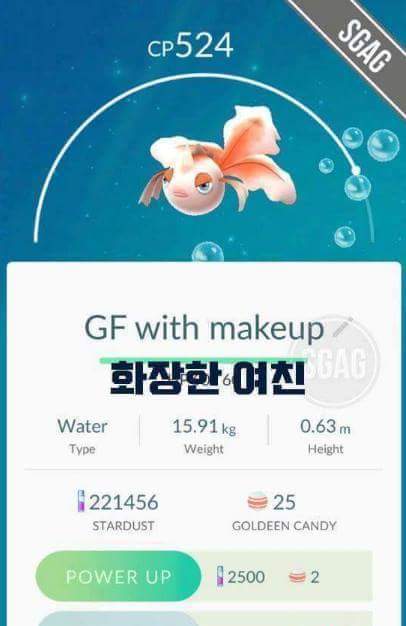 천조국의 흔한 포켓몬고 작명.jpg | 인스티즈