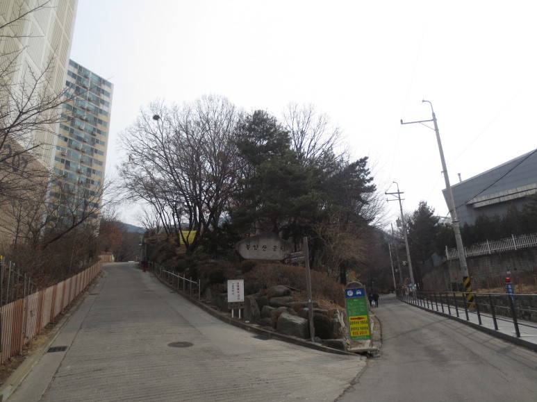 호산삼 이미지