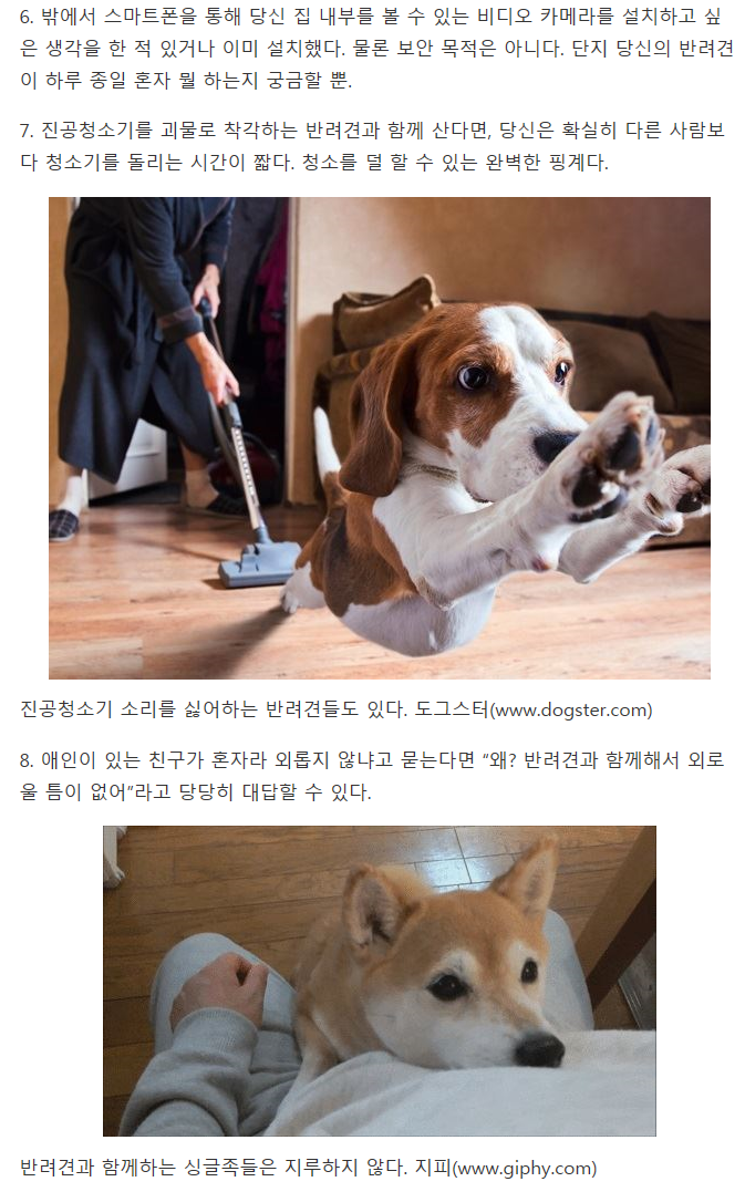 반려견을 키우는 싱글이라면 공감할 사실 11가지 | 인스티즈
