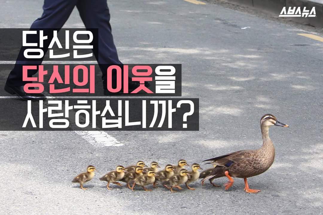 당신은 당신의 이웃을 사랑하십니까? | 인스티즈