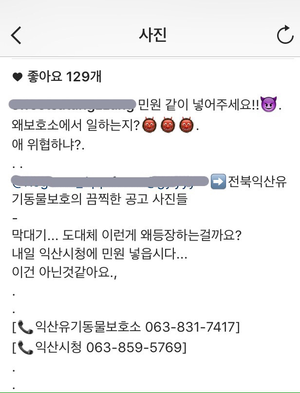 개선이 시급하고 사태가 심각한 시보호소의 모습 | 인스티즈