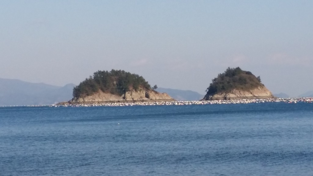 구로경찰서 이미지