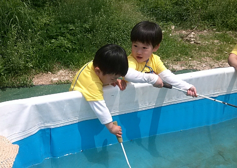 우즈랜드 이미지