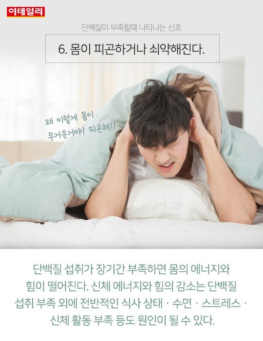  단백질이 부족할때 생기는 신호 6가지 | 인스티즈