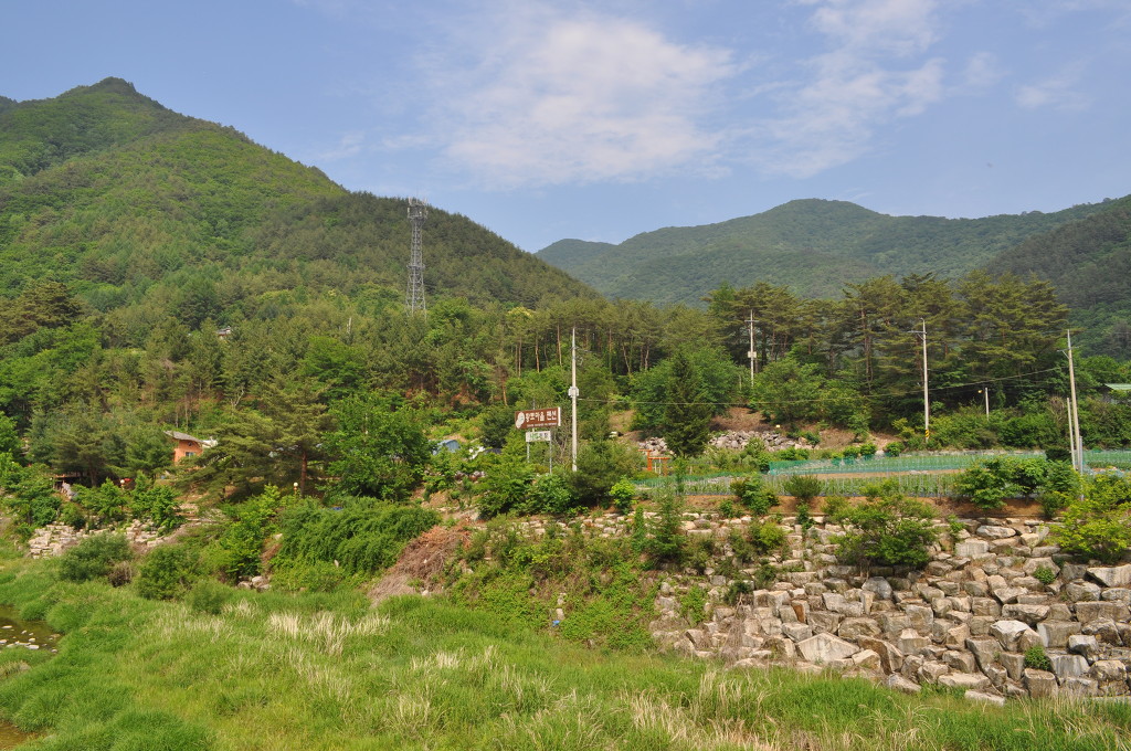 박지산(두타산) 이미지