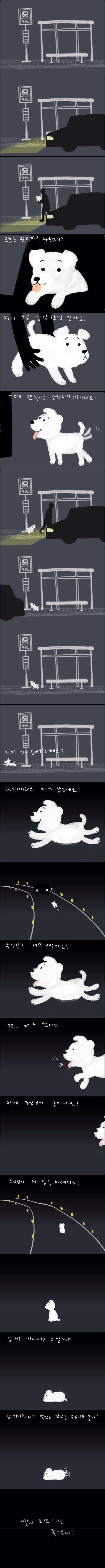 강아지가 버려질때의 심리 ㅠㅠ | 인스티즈