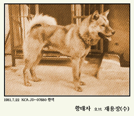 황태자 이미지