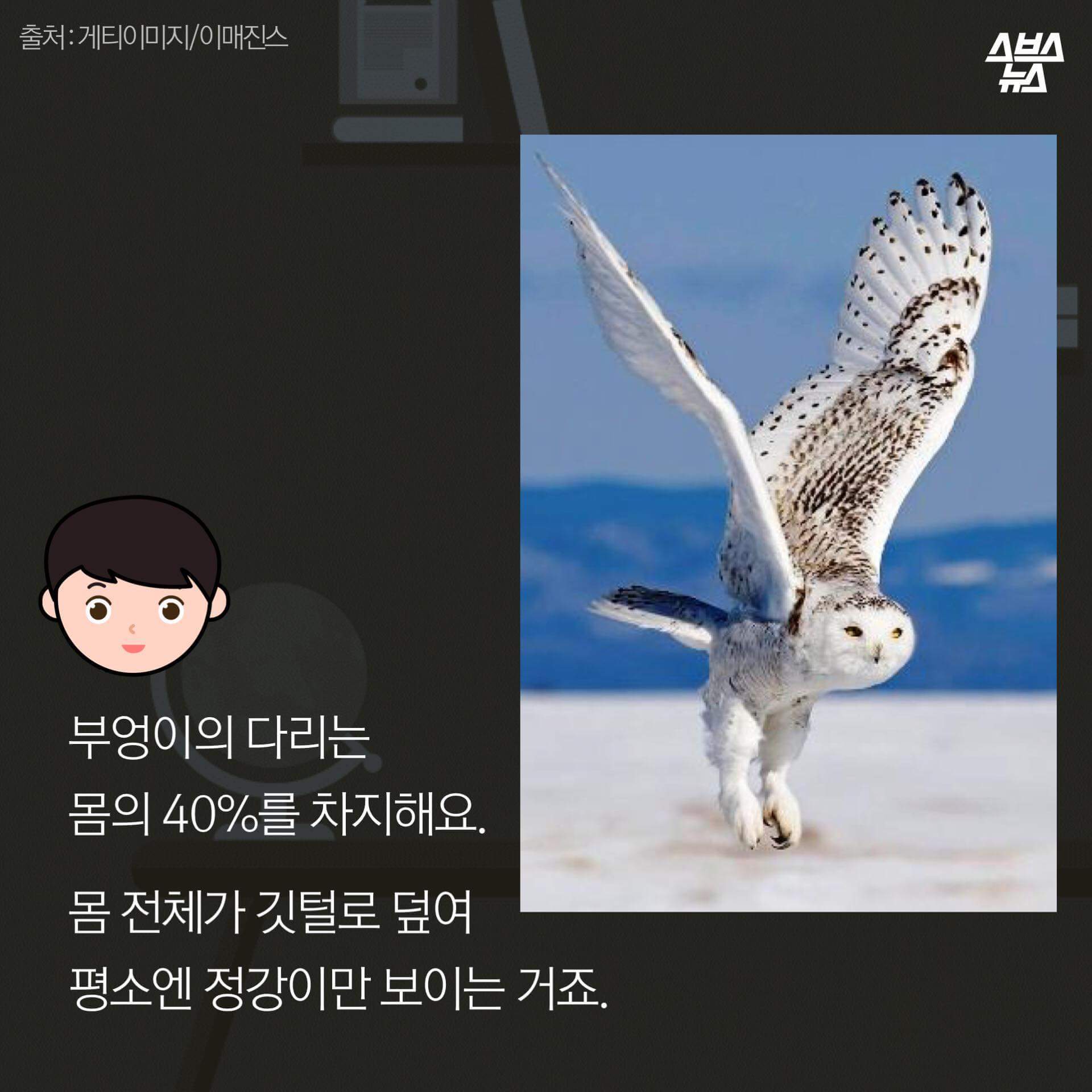 숏하지 않다고 말해부엉 | 인스티즈