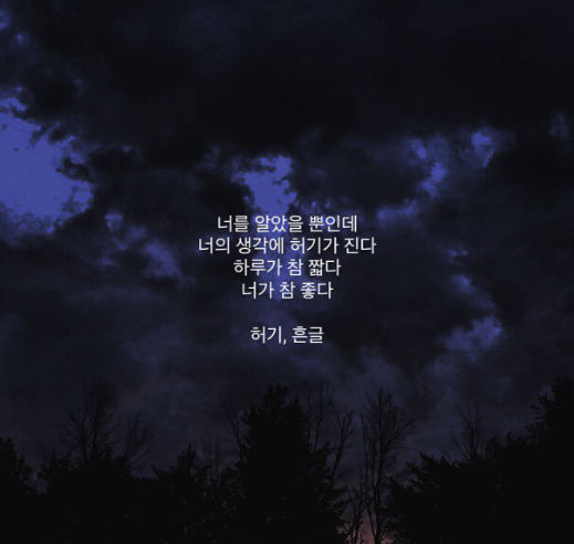 돼지오빠 이미지