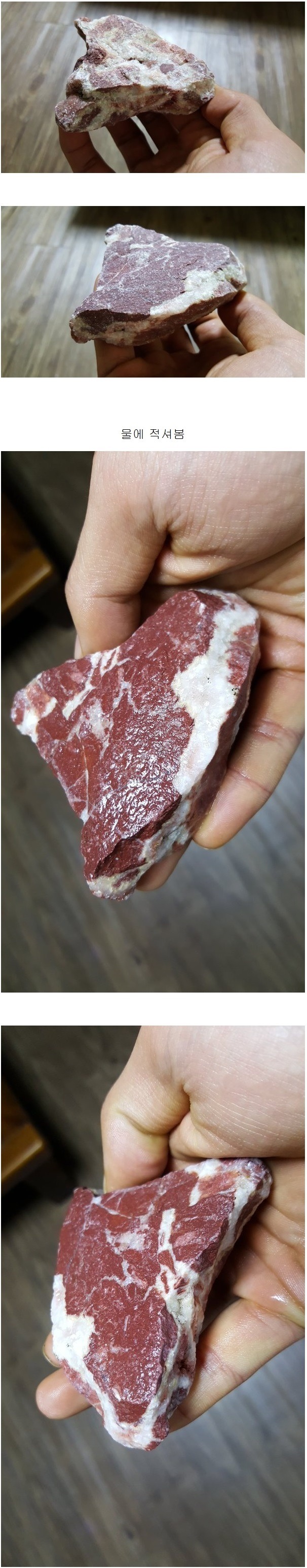 돌처럼 생긴 고기.jpg | 인스티즈