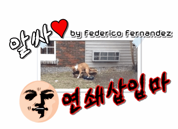 묘한 느낌의 영화 한장면 모음 1탄.gif | 인스티즈