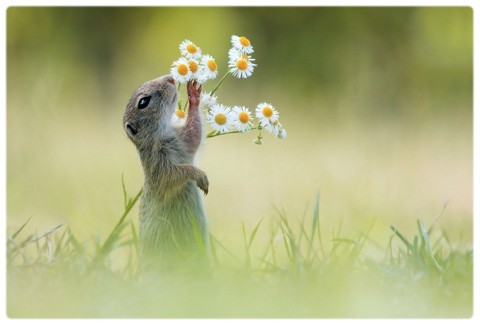 아무도 몰랐던 안양시 땅속의 천만 개미 왕국..운명은? | 인스티즈