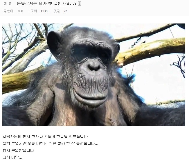 ???: 제가 허언증갤러리 첫번째 글인가요 | 인스티즈