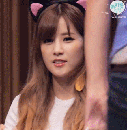 롱냥이.gif | 인스티즈