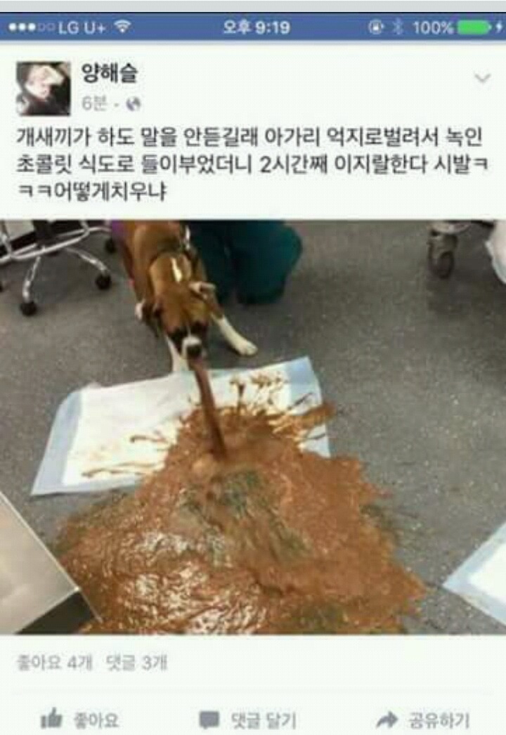 ㅋ일베하는 한국남자가 사진도용해서 한사람 매장시킴 | 인스티즈