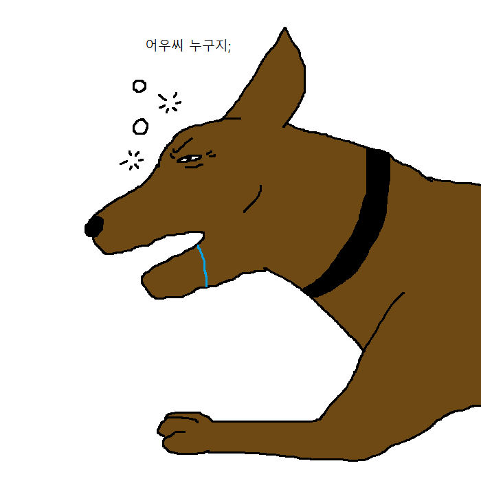 댕댕이의 운수좋은날.jpg | 인스티즈