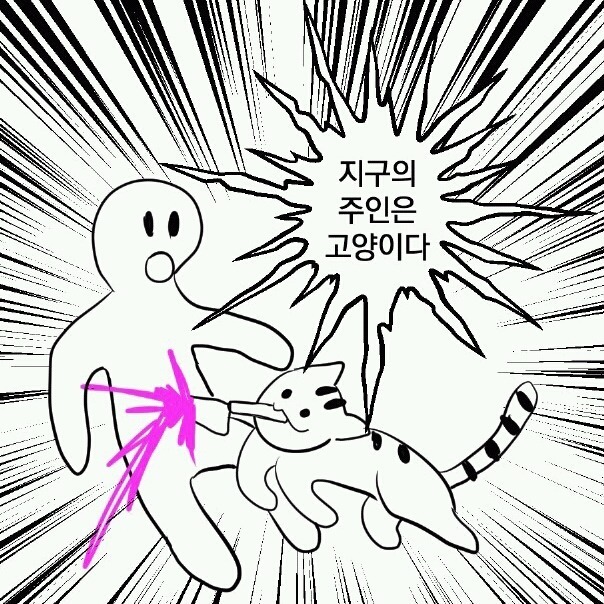 고양이의 위험성을 알리는 글 | 인스티즈