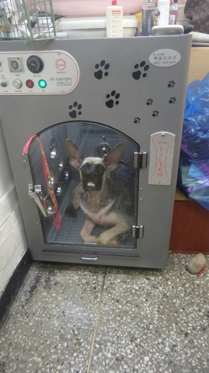 요술가위 이미지