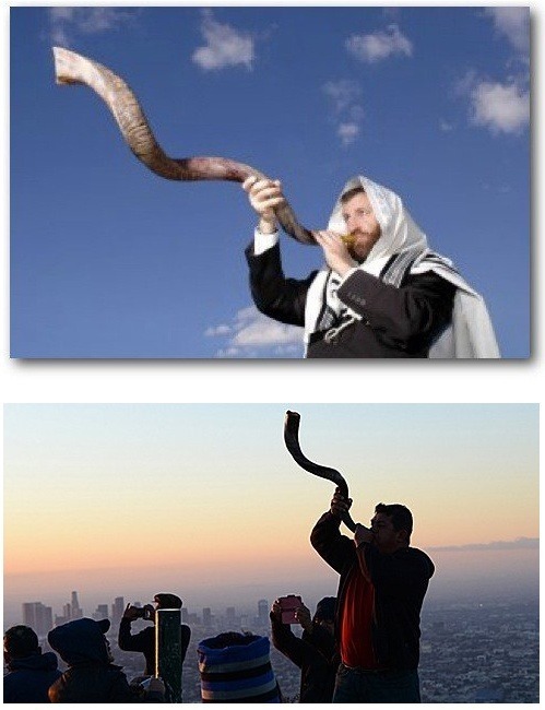 뿔을 만지면 안되는 이유 | 인스티즈