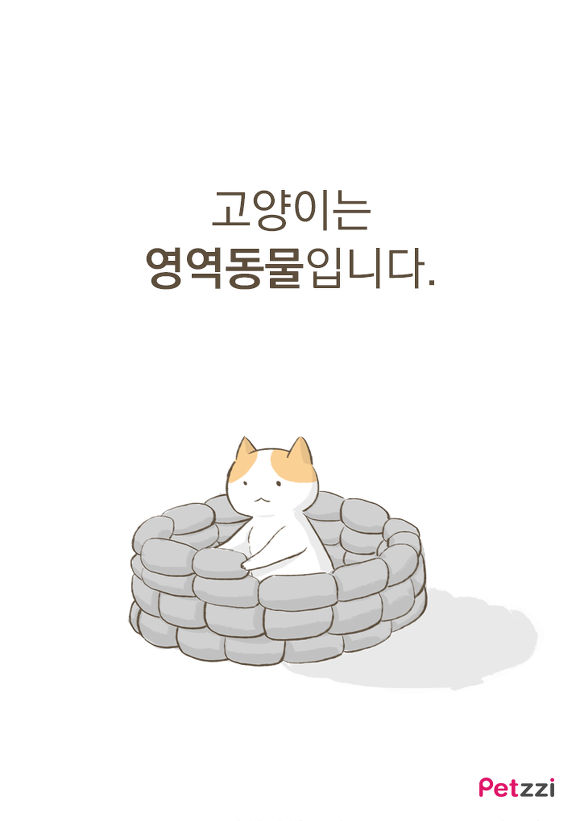 고양이가 화장실 앞에서 기다리고 있는 이유? (만화) | 인스티즈