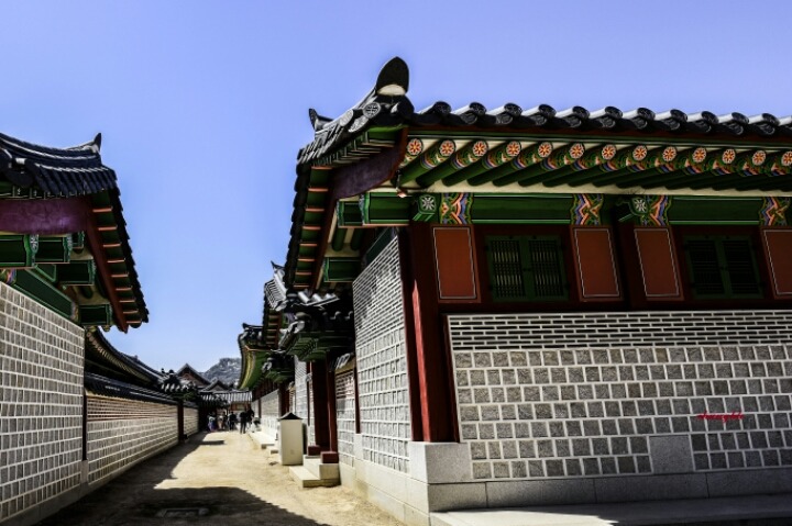 단청 이미지