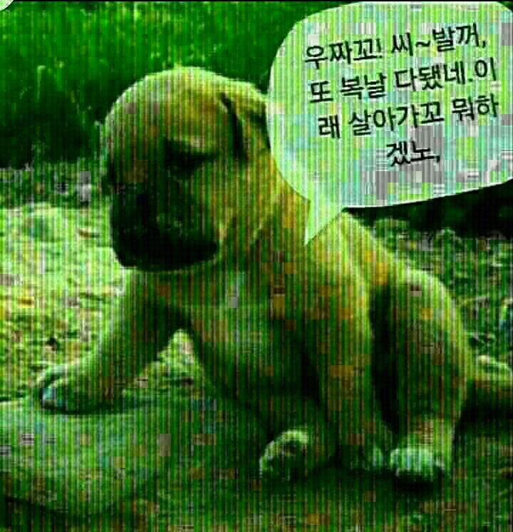 참 이미지