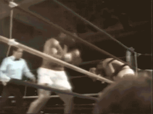 누구나 그럴싸한 계획을 갖고있다. 쳐맞기 전 까지는... | 인스티즈