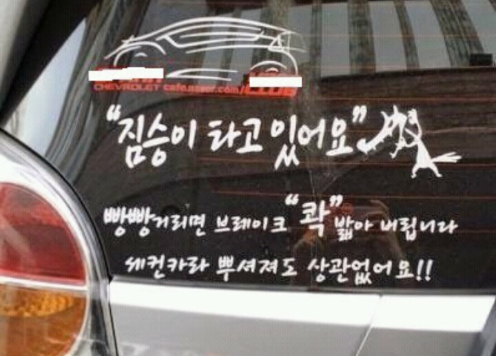 도로에서 보면 떤다라고 생각드는 스티커들 | 인스티즈