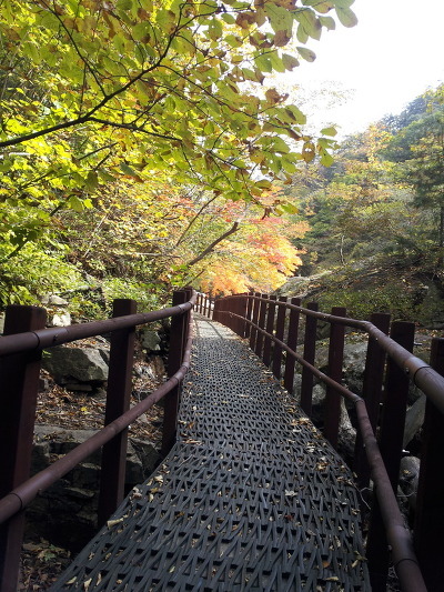 연후 이미지