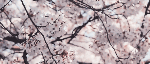 여러분 봄이 오고 있어요 | 인스티즈