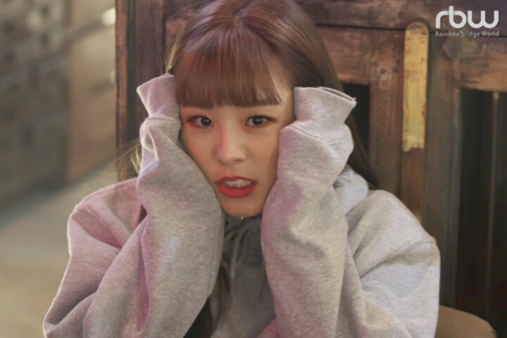 강아지 같은 마마무 휘인 | 인스티즈
